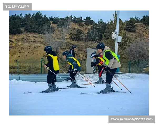 冰雪特色校扩至800所，青少年培训体系待完善